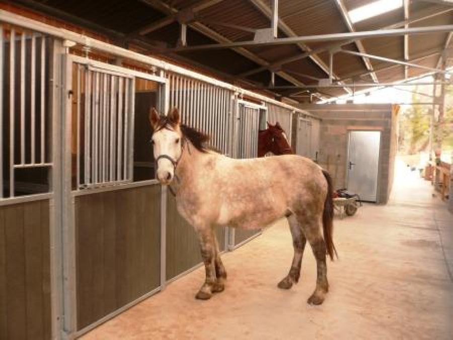 pension cheval à Carcassonne-Verzeille Aude Corbières